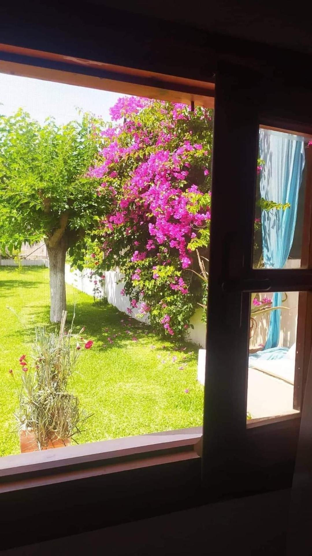 Amaryllis Sweet Home Pyrgos  Luaran gambar