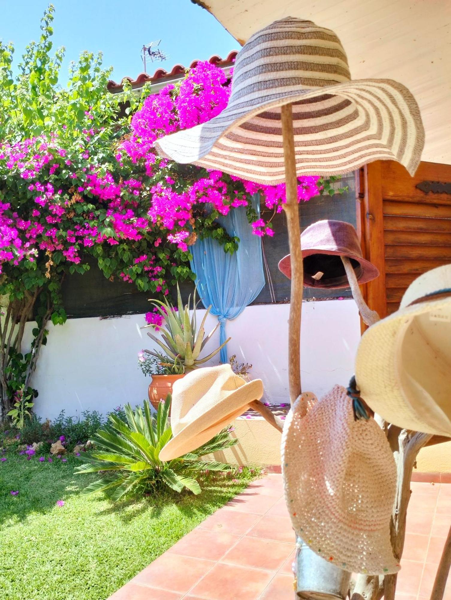 Amaryllis Sweet Home Pyrgos  Luaran gambar